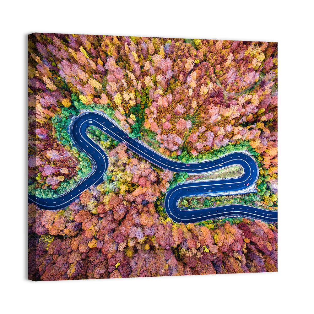 Aerial Winding Road Wall Art, canvas print, square