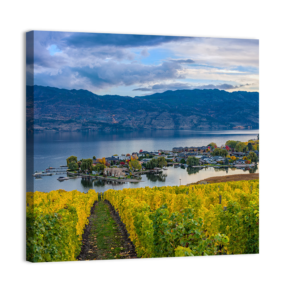 Okanagan Lake Vineyard, Kelowna Wall Art, canvas print, square