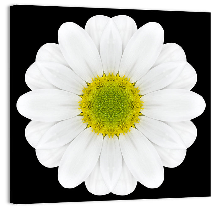 High Contrast Daisy Mandala Pattern Wall Art as a canvas print