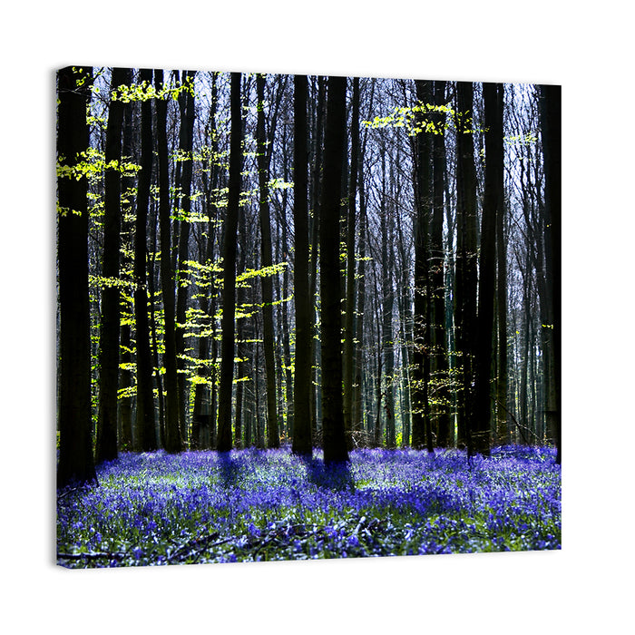 Bluebell Symphony Wall Art as a canvas print