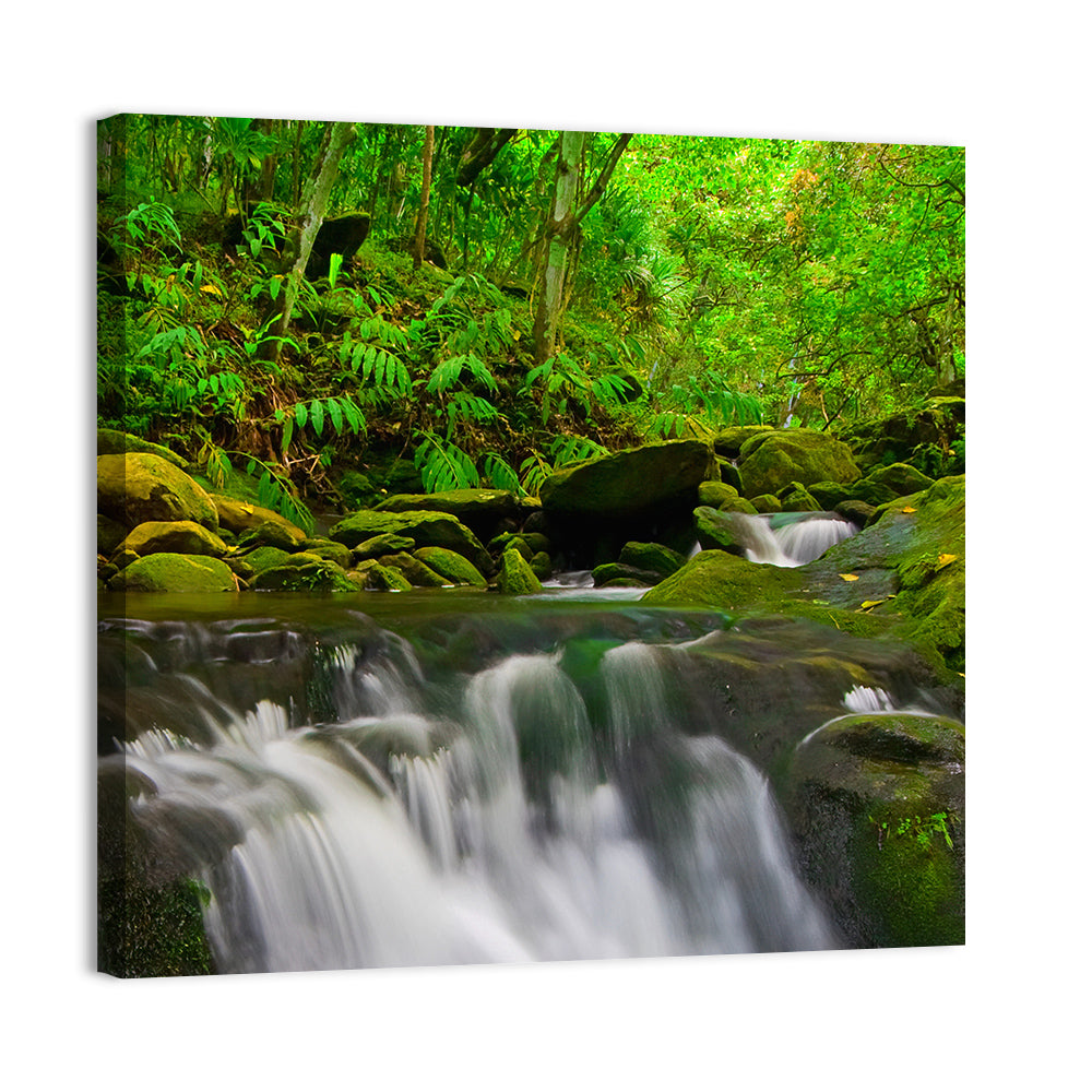 Forest Stream Wall Art