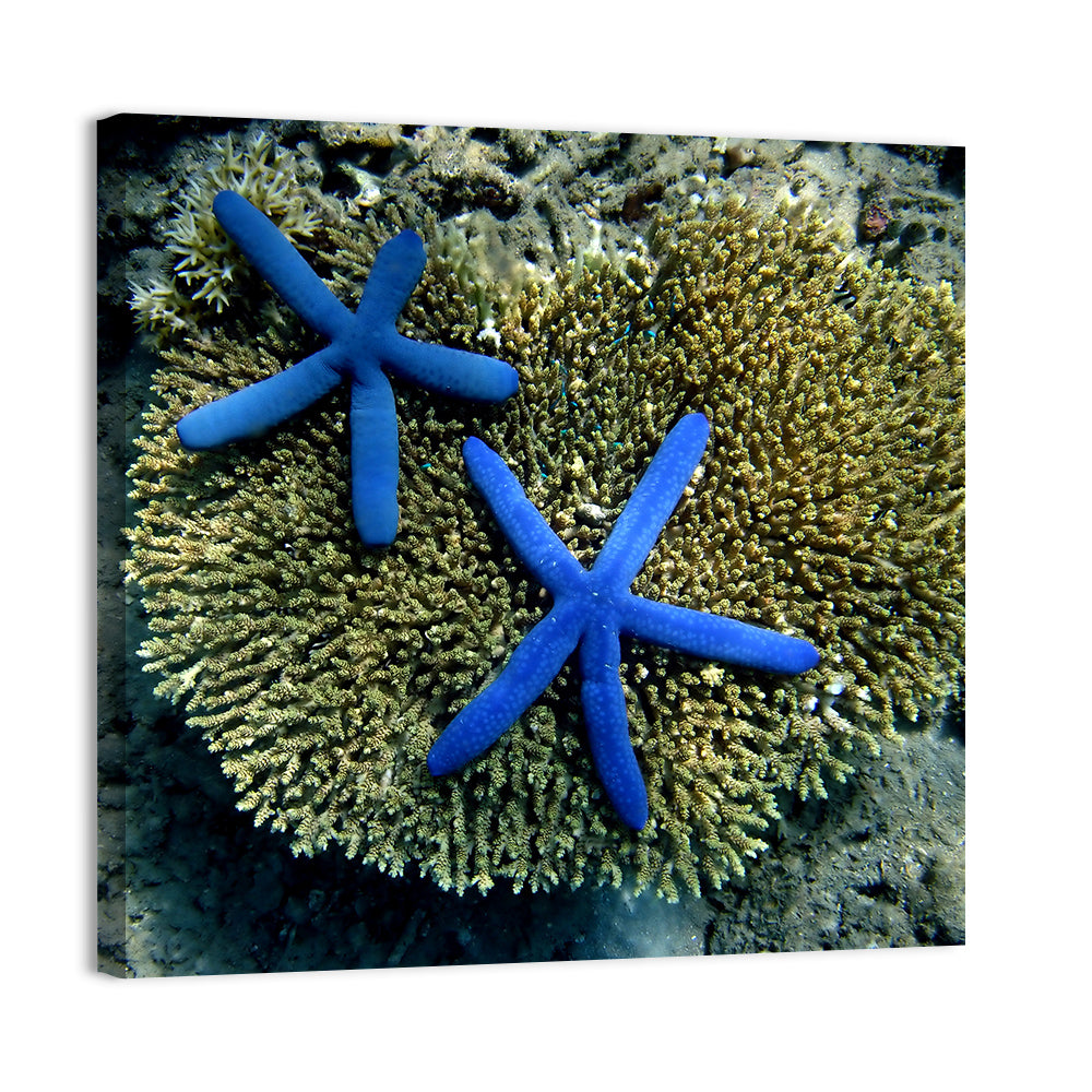 Blue Starfish Wall Art, canvas print, square