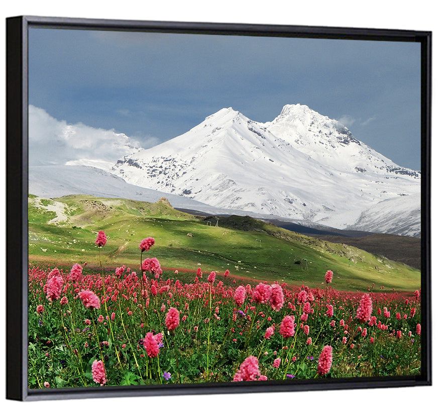 Caucasus Mountain & Spring Wall Art
