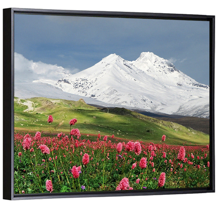 Caucasus Spring Wildflower Meadow Wall Art as a framed canvas