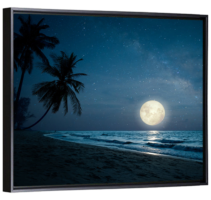 Palm Beach Moonset Wall Art