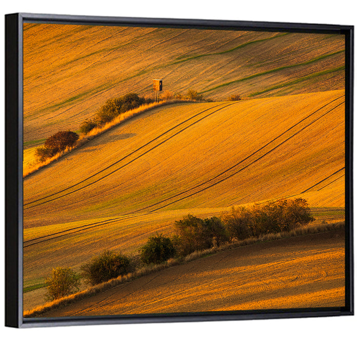 Golden Moravian Farm Tracks Wall Art as a framed canvas