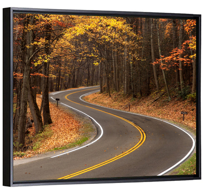 S-curve Road Through Autumn Forest Wall Art as a framed canvas