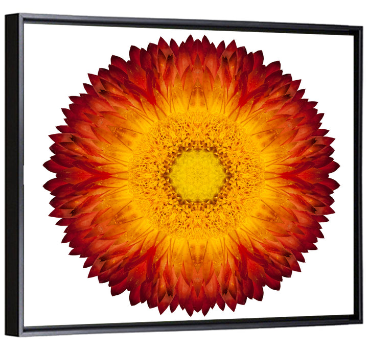 Kaleidoscopic Strawflower Mandala Wall Art