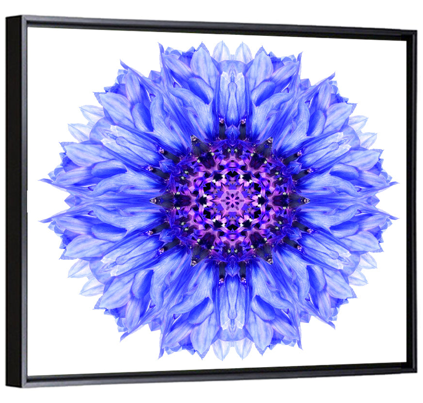 Cornflower Mandala Pattern Wall Art