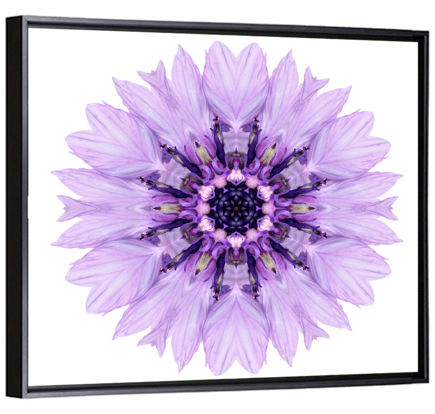 Purple Cornflower Mandala Wall Art