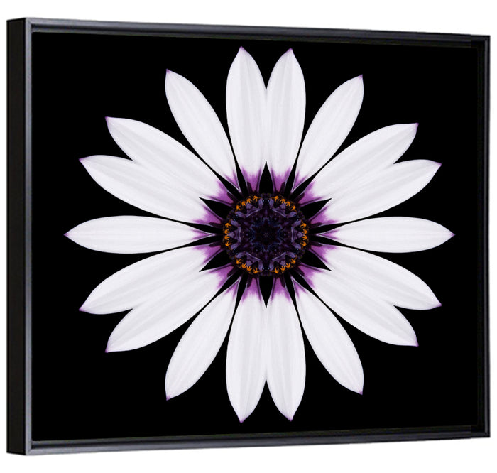 White Daisy Mandala on Black Wall Art as a framed canvas