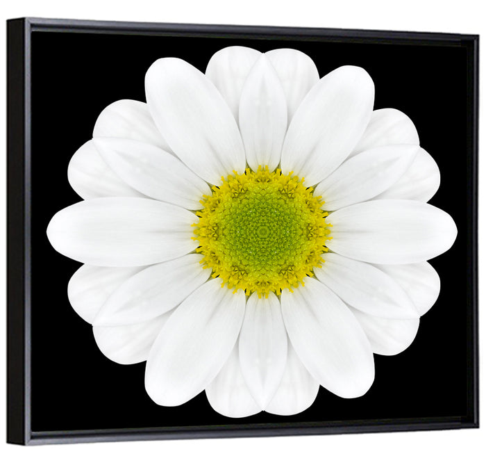 High Contrast Daisy Mandala Pattern Wall Art as a framed canvas