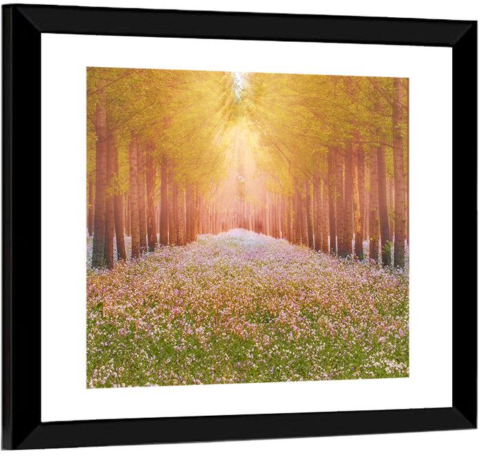 Golden Morning Forest Path Wall Art as a framed print
