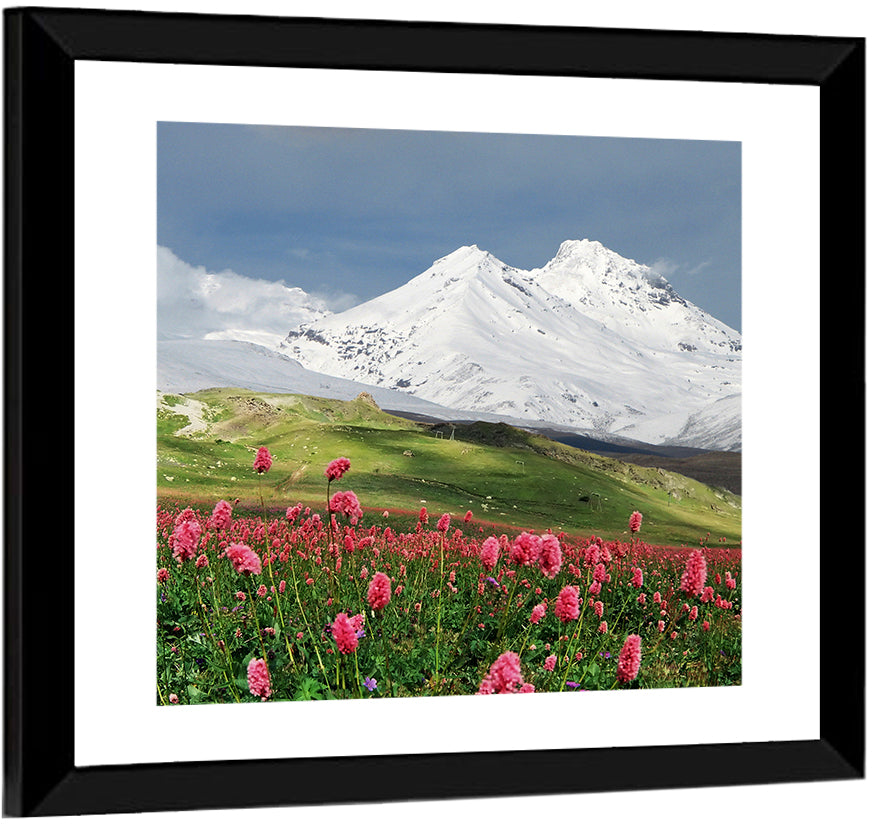 Caucasus Mountain & Spring Wall Art