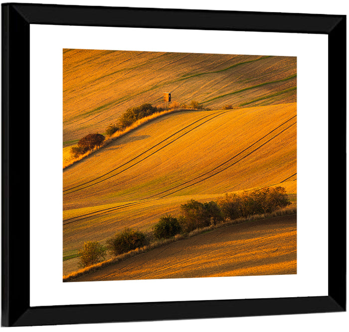 Golden Moravian Farm Tracks Wall Art as a framed print