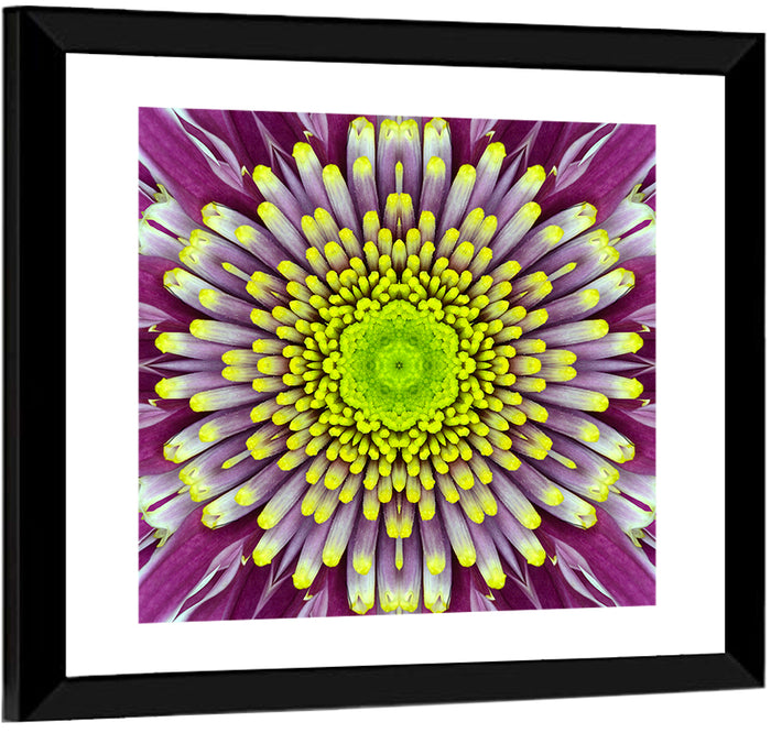 Mandala Chrysanthemum Macro Wall Art as a framed print