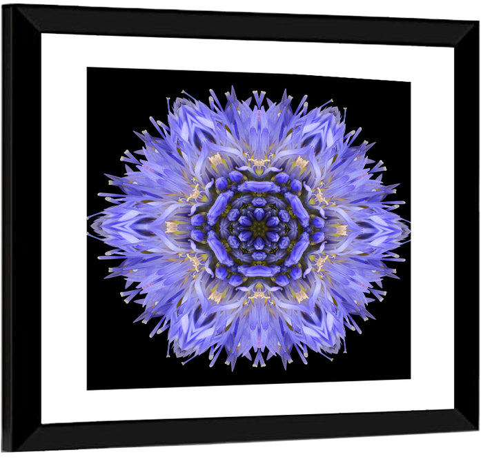 Cornflower Mandala Kaleidoscope Wall Art as a framed print