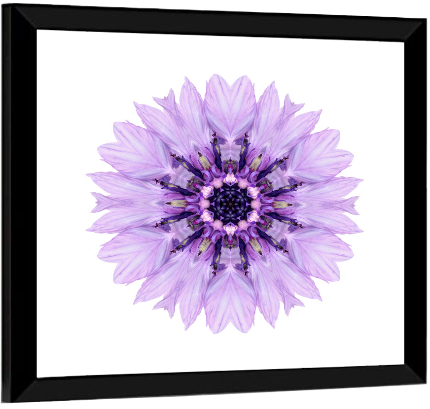 Purple Cornflower Mandala Wall Art
