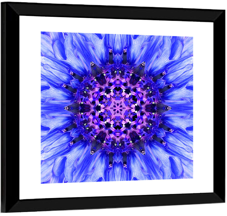 Concentric Floral Mandala Wall Art