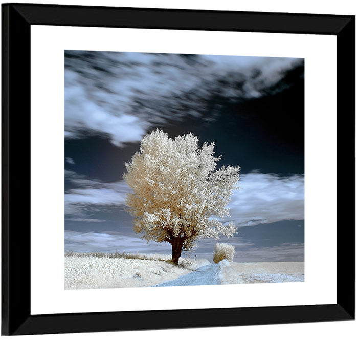 Infrared Winter Willow Tree Wall Art as a framed print