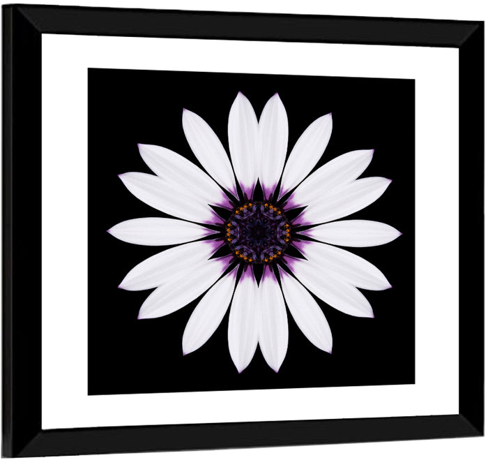 White Daisy Mandala on Black Wall Art as a framed print