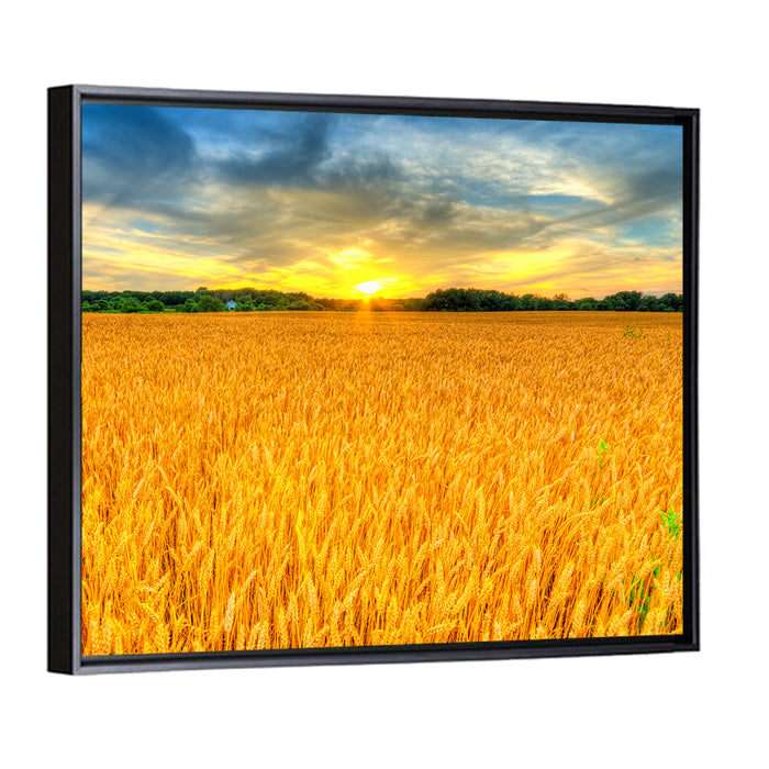 Wheat Field Sunset Wall Art as a framed canvas