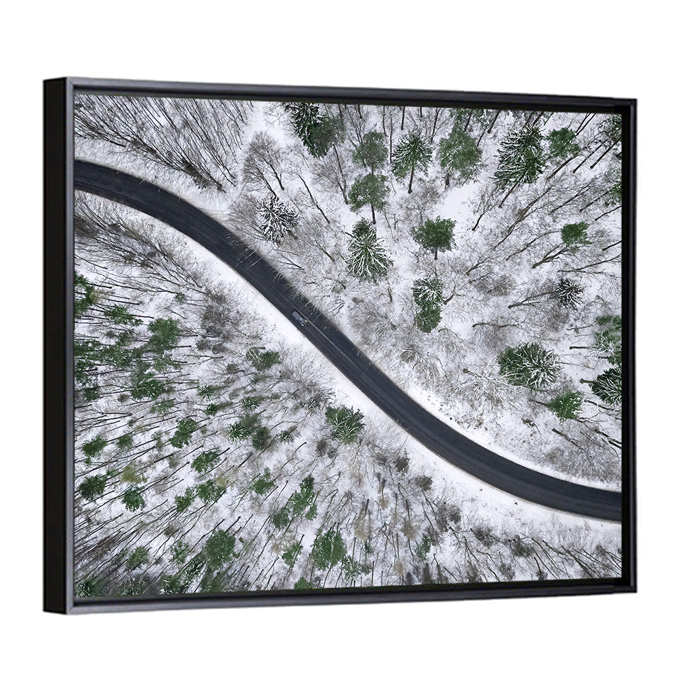 Snowy Forest Road Wall Art