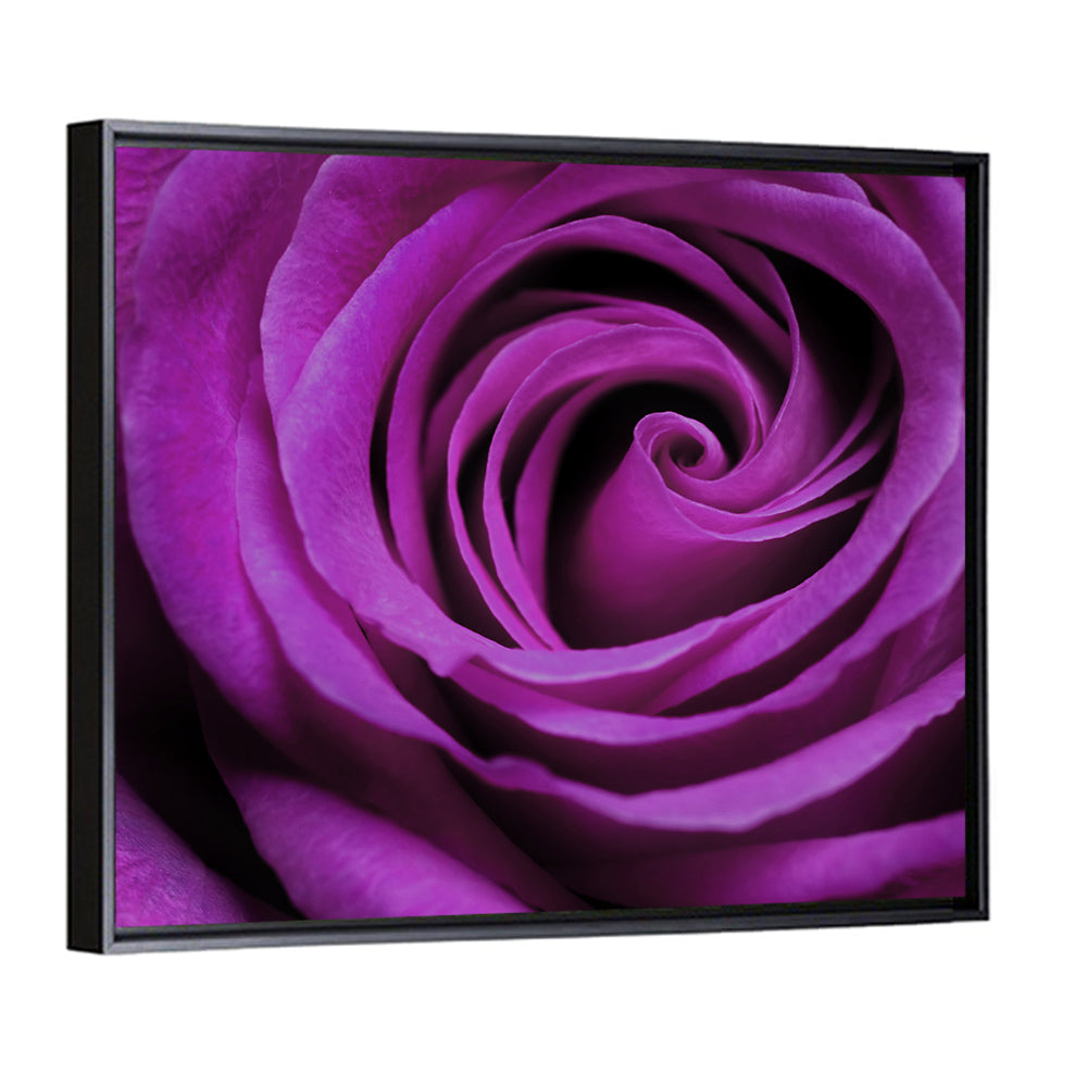 Purple Rose Wall Art