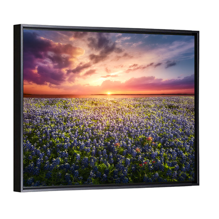 Texas Bluebonnet Sunset Wall Art as a framed canvas