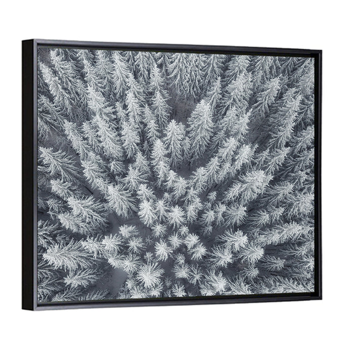 Snow Covered Pine Forest Wall Art as a framed canvas