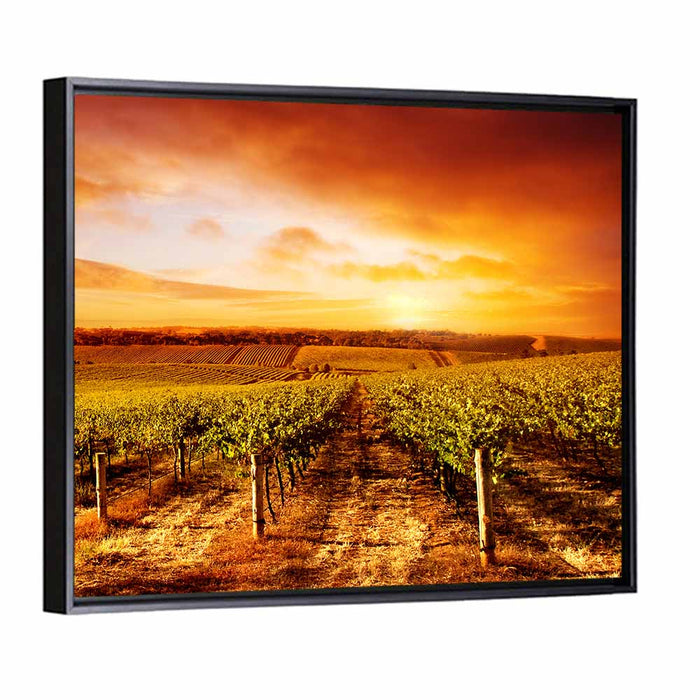 Australian Vineyard Sunset Wall Art as a framed canvas
