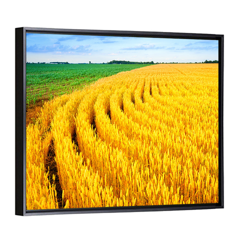 Wheat Field Wall Art