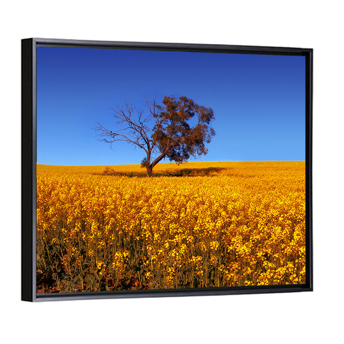 Canola Field with Lone Tree Wall Art as a framed canvas