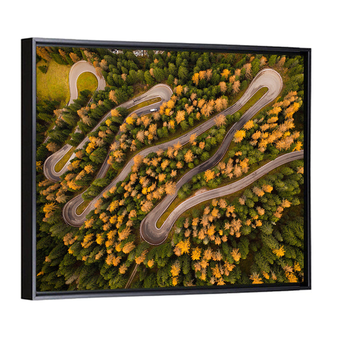 Aerial Curvy Forest Road Wall Art as a framed canvas