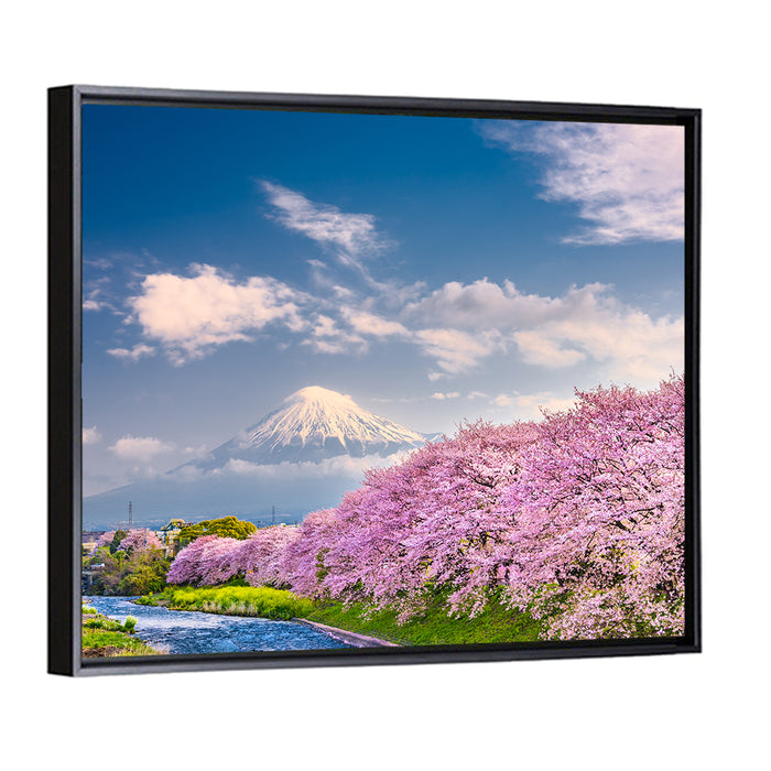Mount Fuji Cherry Blossoms Wall Art as a framed canvas
