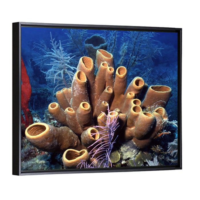 Belize Reef Sponge Scene Wall Art as a framed canvas