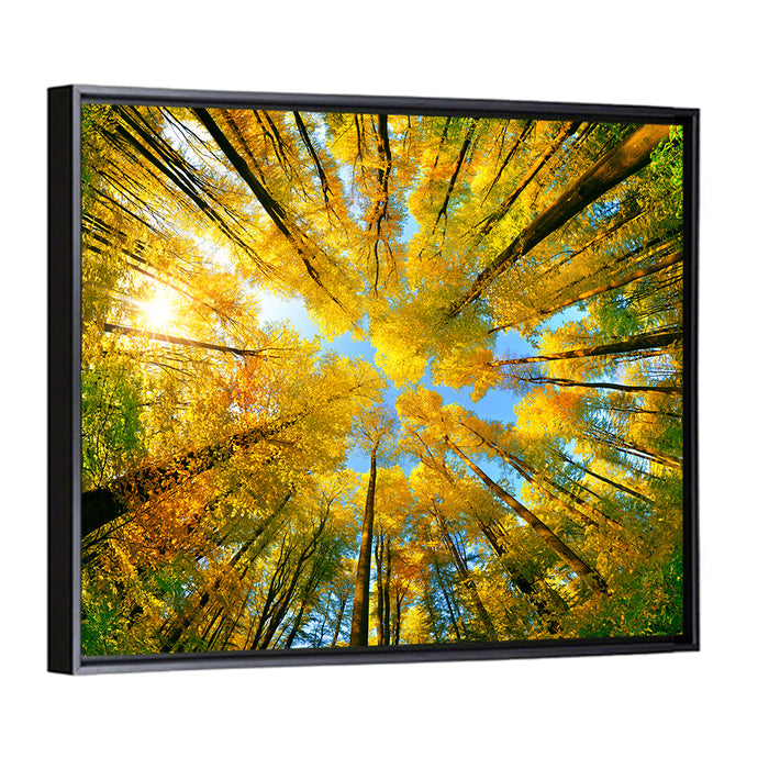 Golden Autumn Canopy Wall Art as a framed canvas