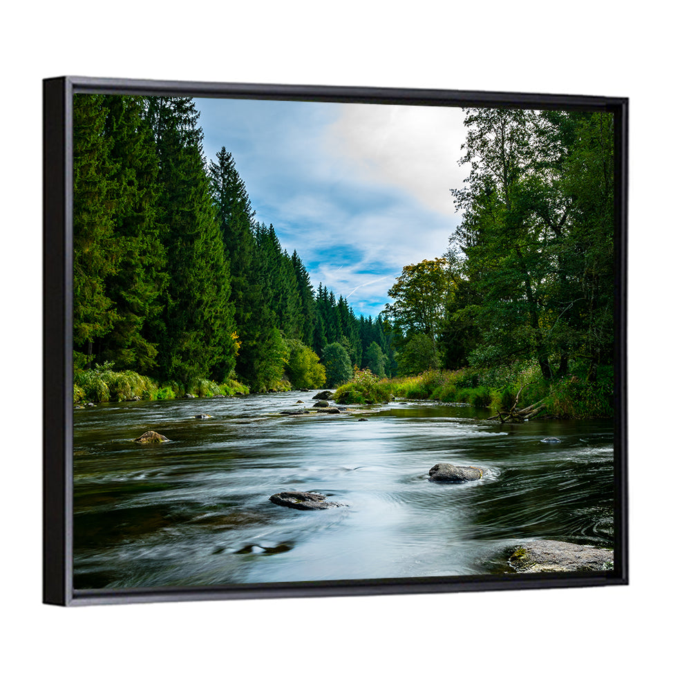 Bavarian Forest River Wall Art
