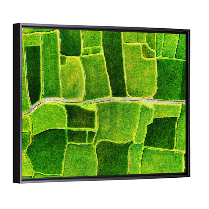 Verdant Rice Terrace Grid Wall Art as a framed canvas