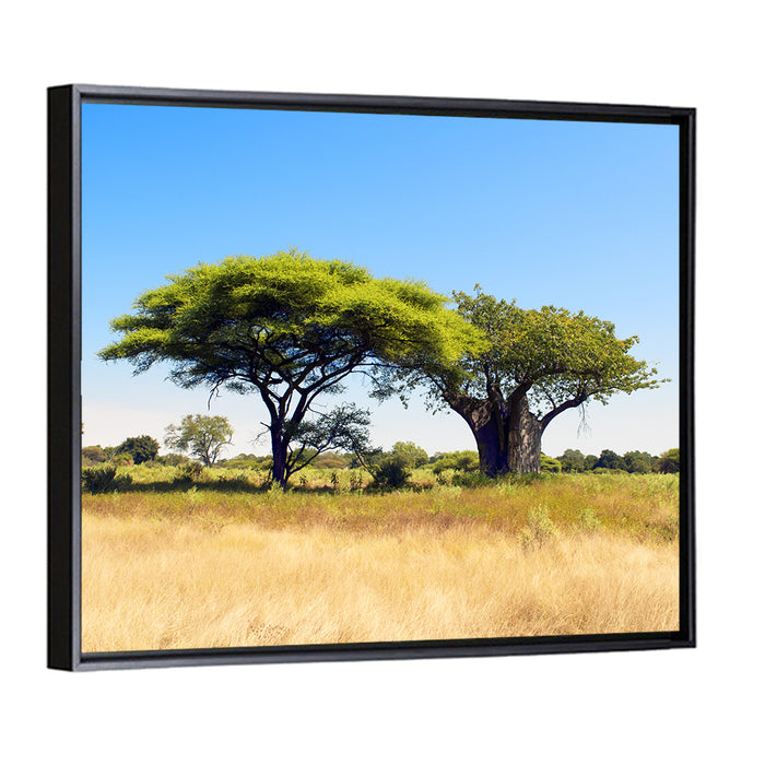 Acacia and Baobab Trees Wall Art as a framed canvas