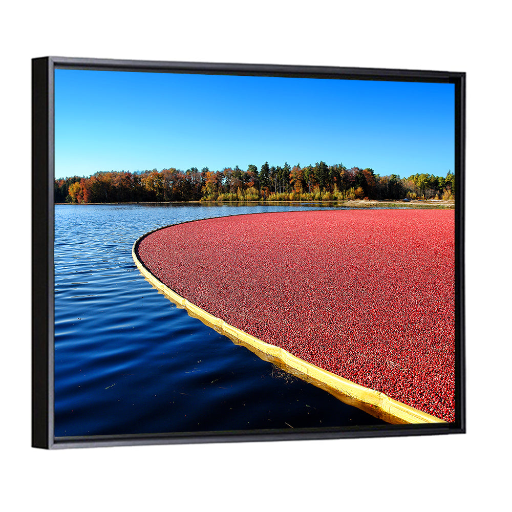 Flooded Cranberry Bog Wall Art