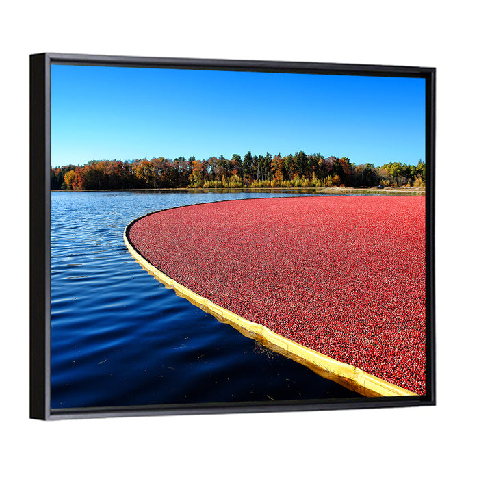 Flooded Cranberry Bog Wall Art as a framed canvas