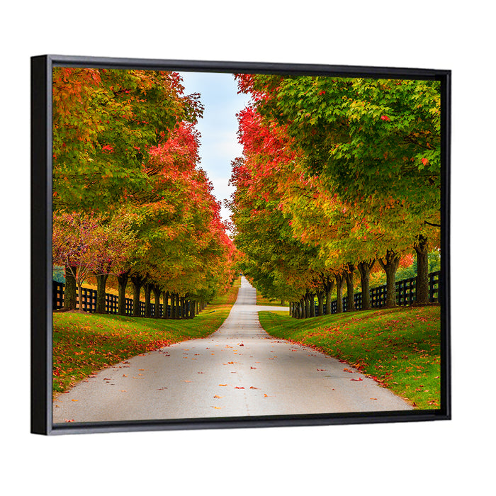 Tree-lined Farm Lane, Kentucky Wall Art as a framed canvas