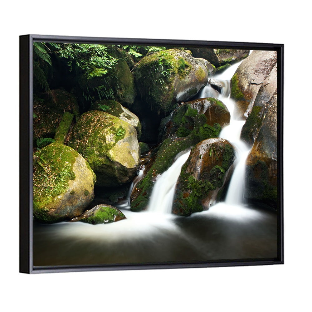 Rainforest Waterfall Wall Art