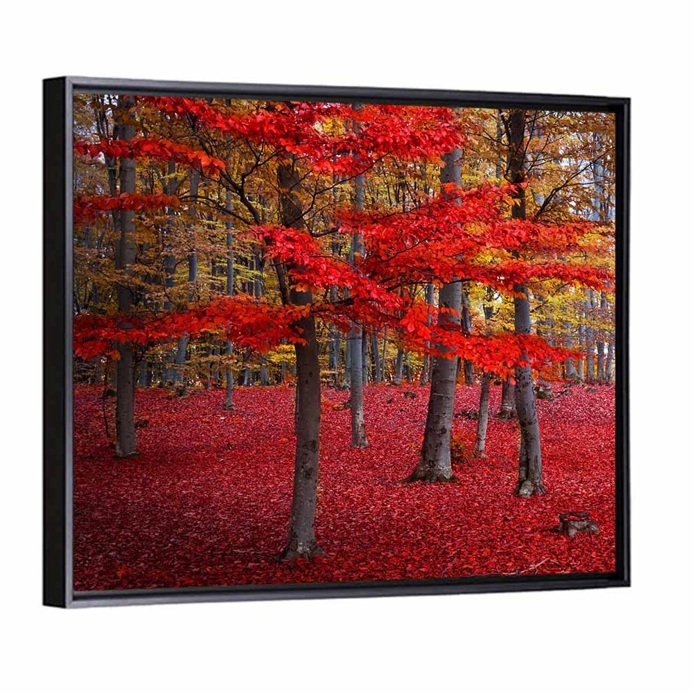 Red Trees Wall Art