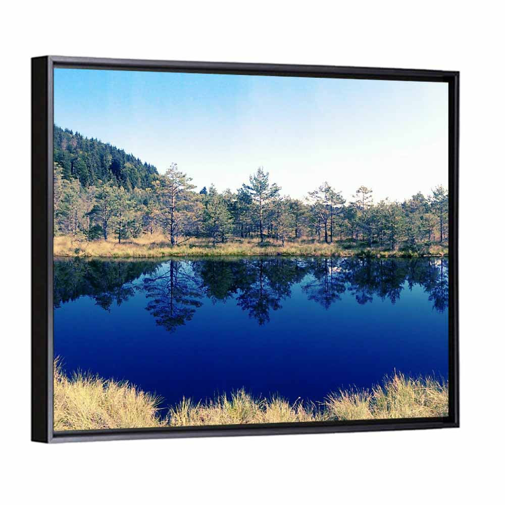 Tundra Reservation Park Lake Wall Art