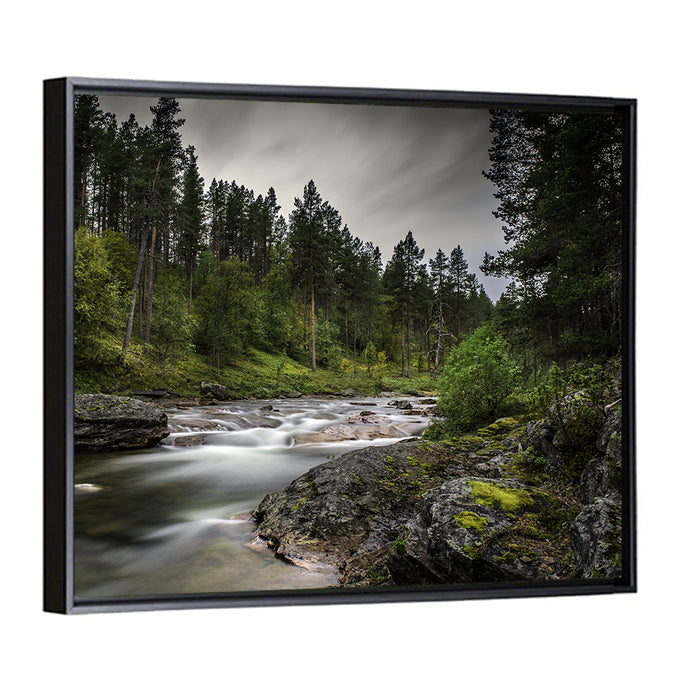 Mossy Forest Stream Wall Art as a framed canvas