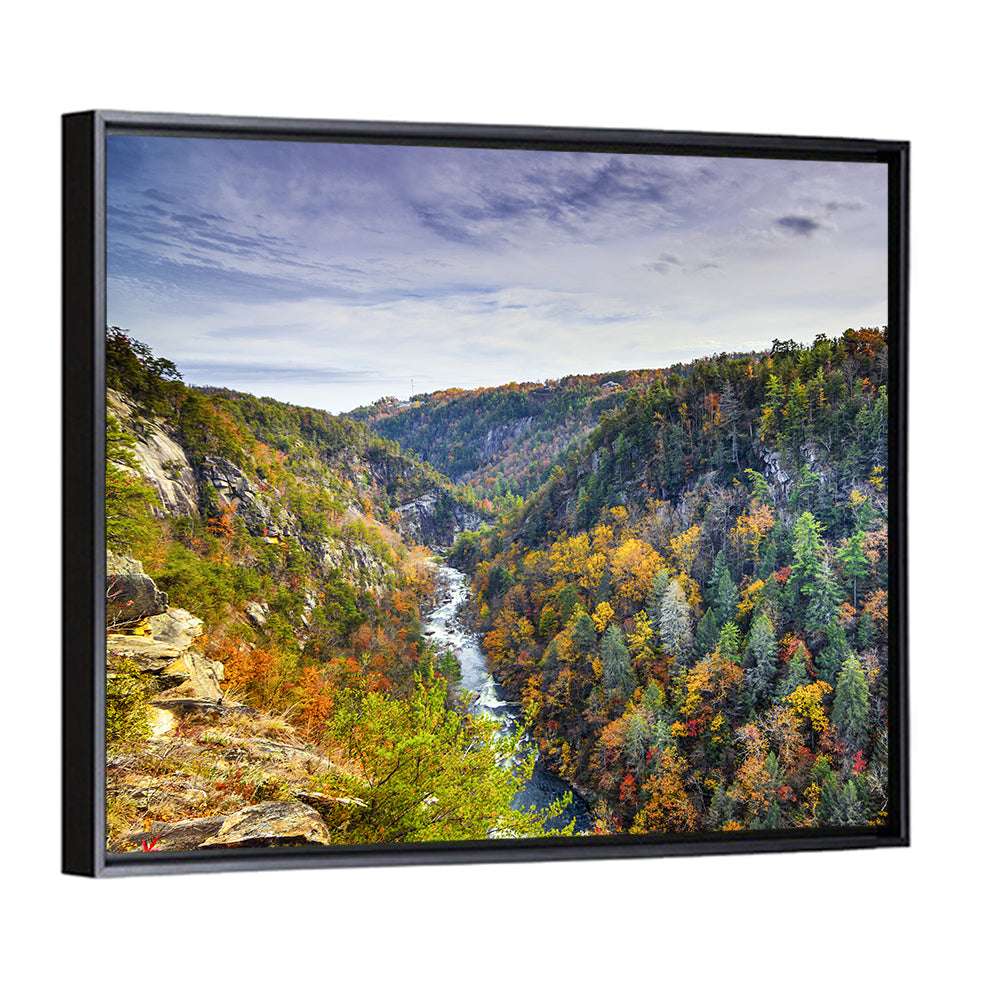 Tallulah Gorge State Park Wall Art