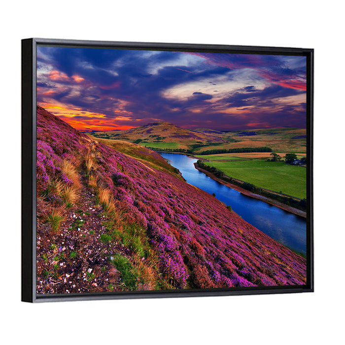 Pentland Hills Heather, Edinburgh Wall Art as a framed canvas