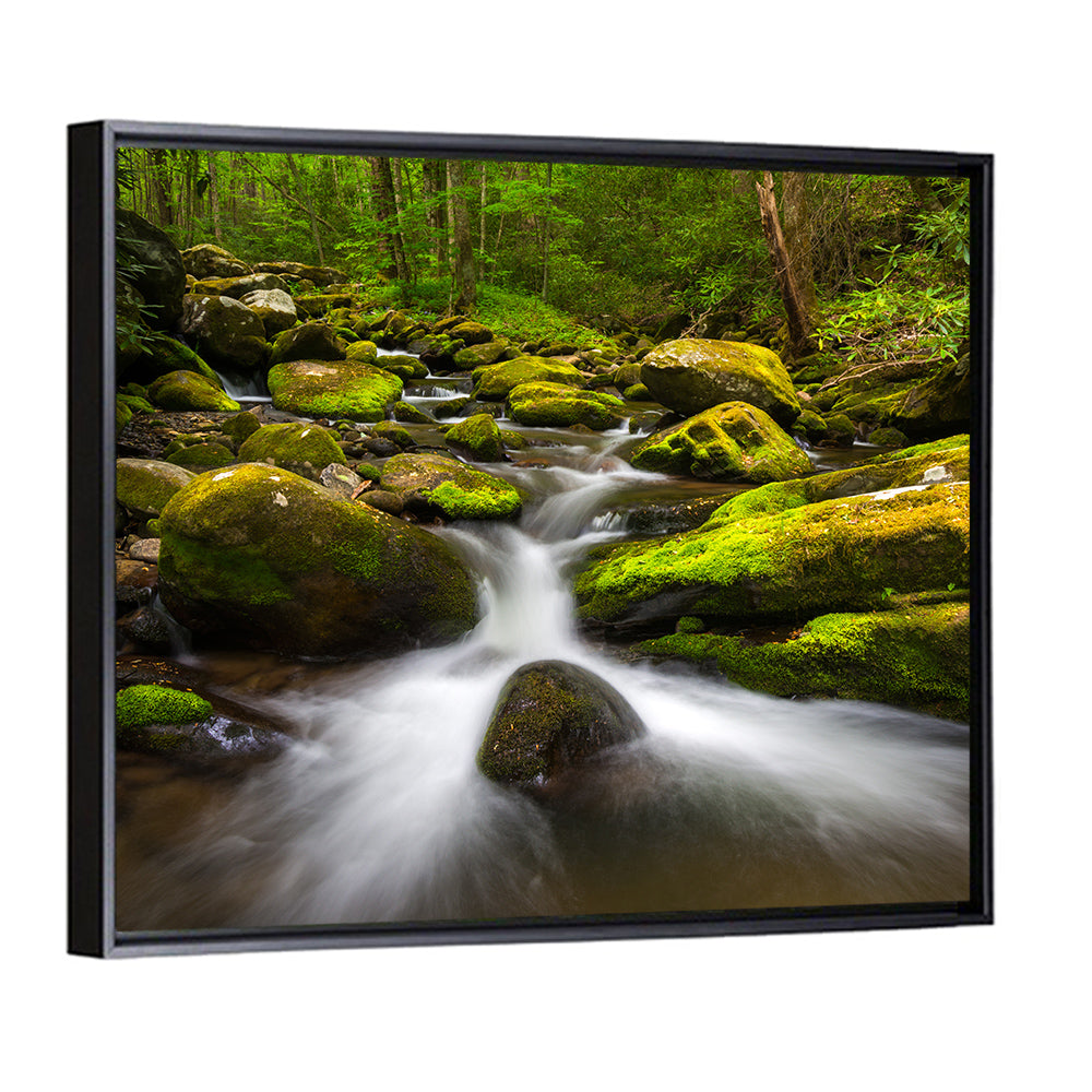 Green Forest Stream Wall Art